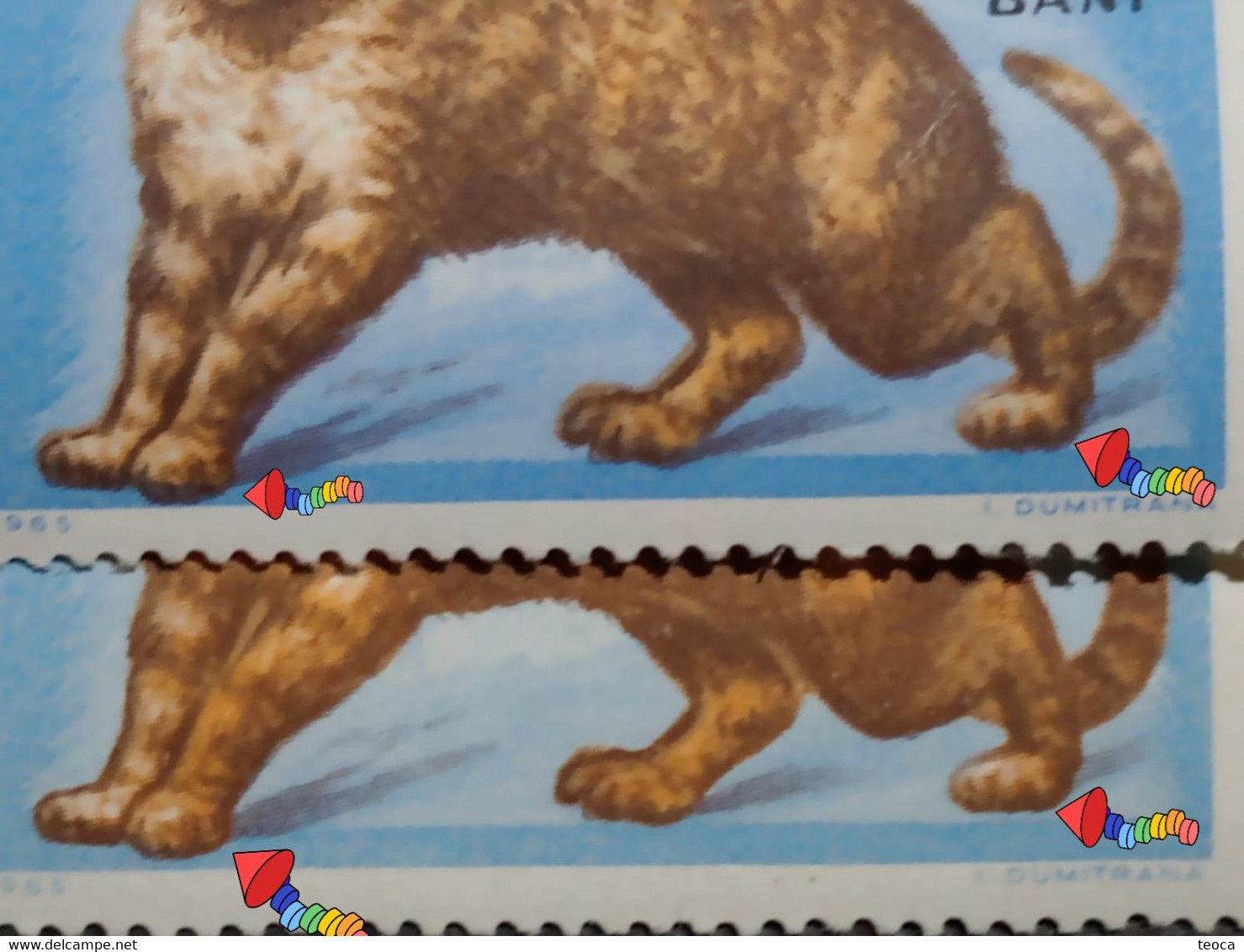 Stamps Errors Romania 1965 # Mi 2388 Printed With DIFFERENT COLOR  Misplaced Cat In Image Unused - Variétés Et Curiosités