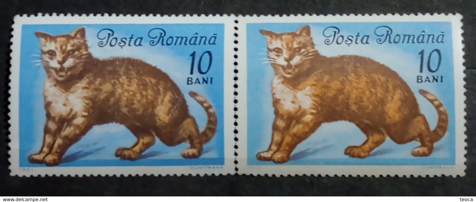 Stamps Errors Romania 1965 # Mi 2388 Printed With DIFFERENT COLOR  Misplaced Cat In Image Unused - Variedades Y Curiosidades