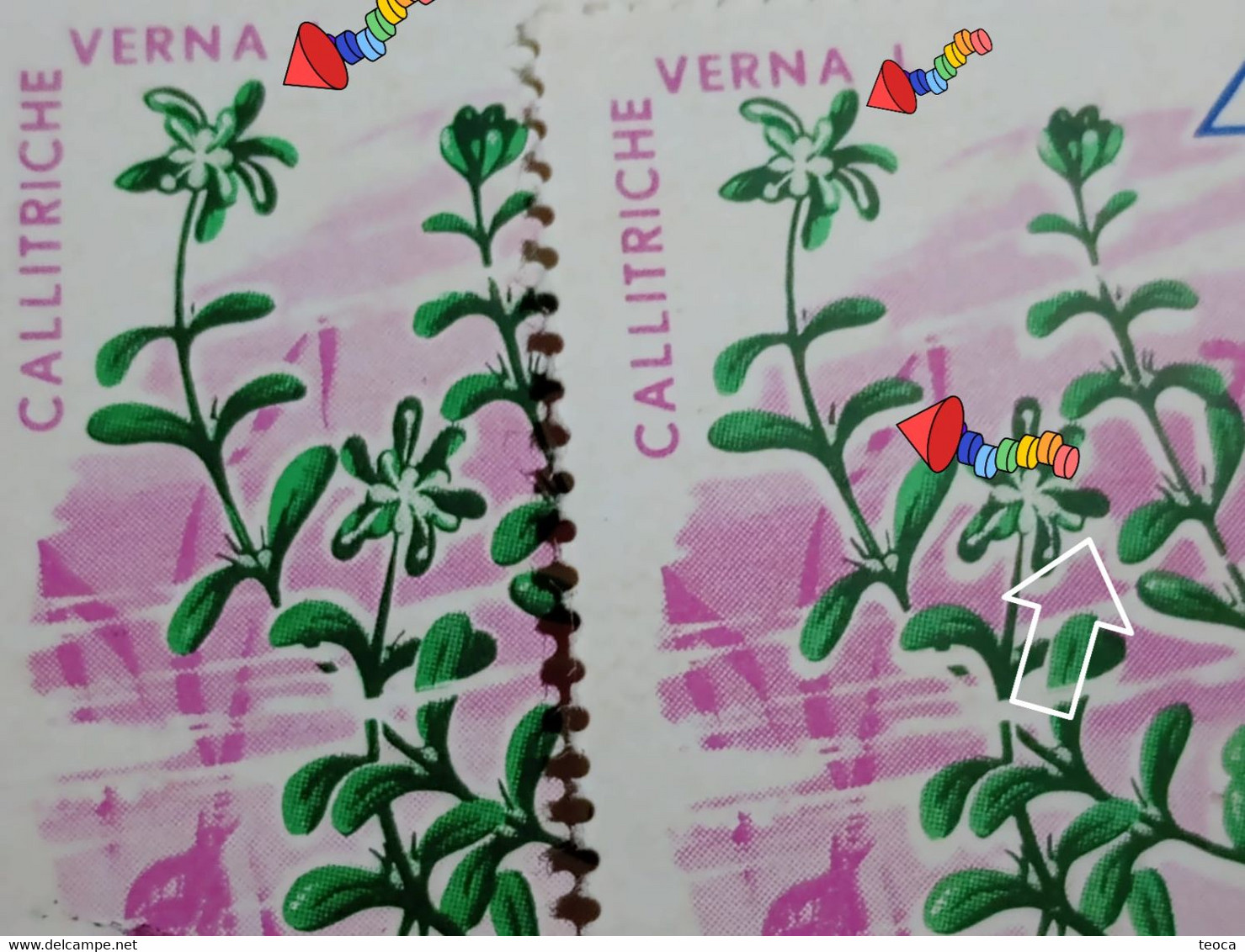 Stamps Errors Romania 1966 # Mi 2528 Printed With Misplaced Plants Flower Image Used - Plaatfouten En Curiosa