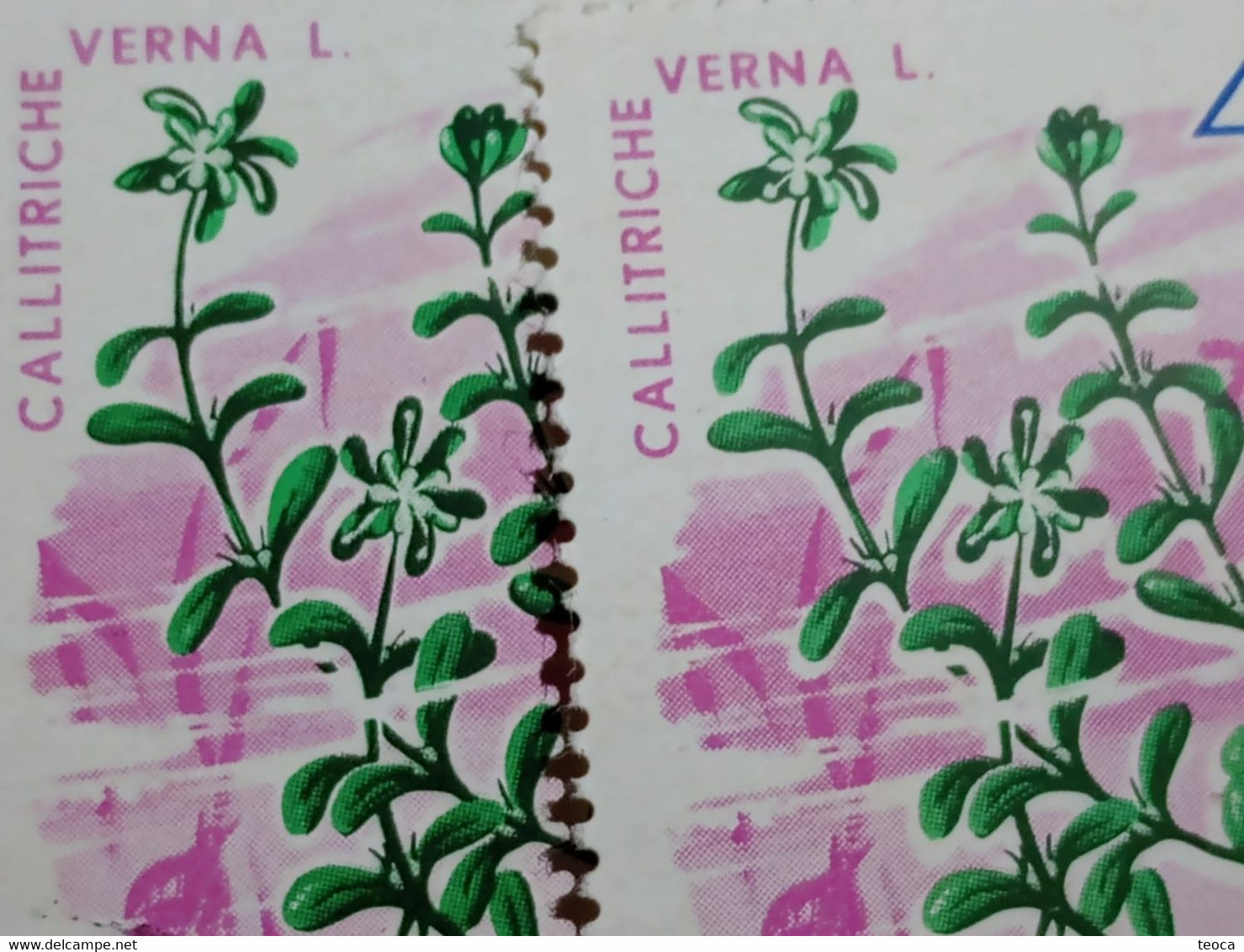 Stamps Errors Romania 1966 # Mi 2528 Printed With Misplaced Plants Flower Image Used - Variedades Y Curiosidades