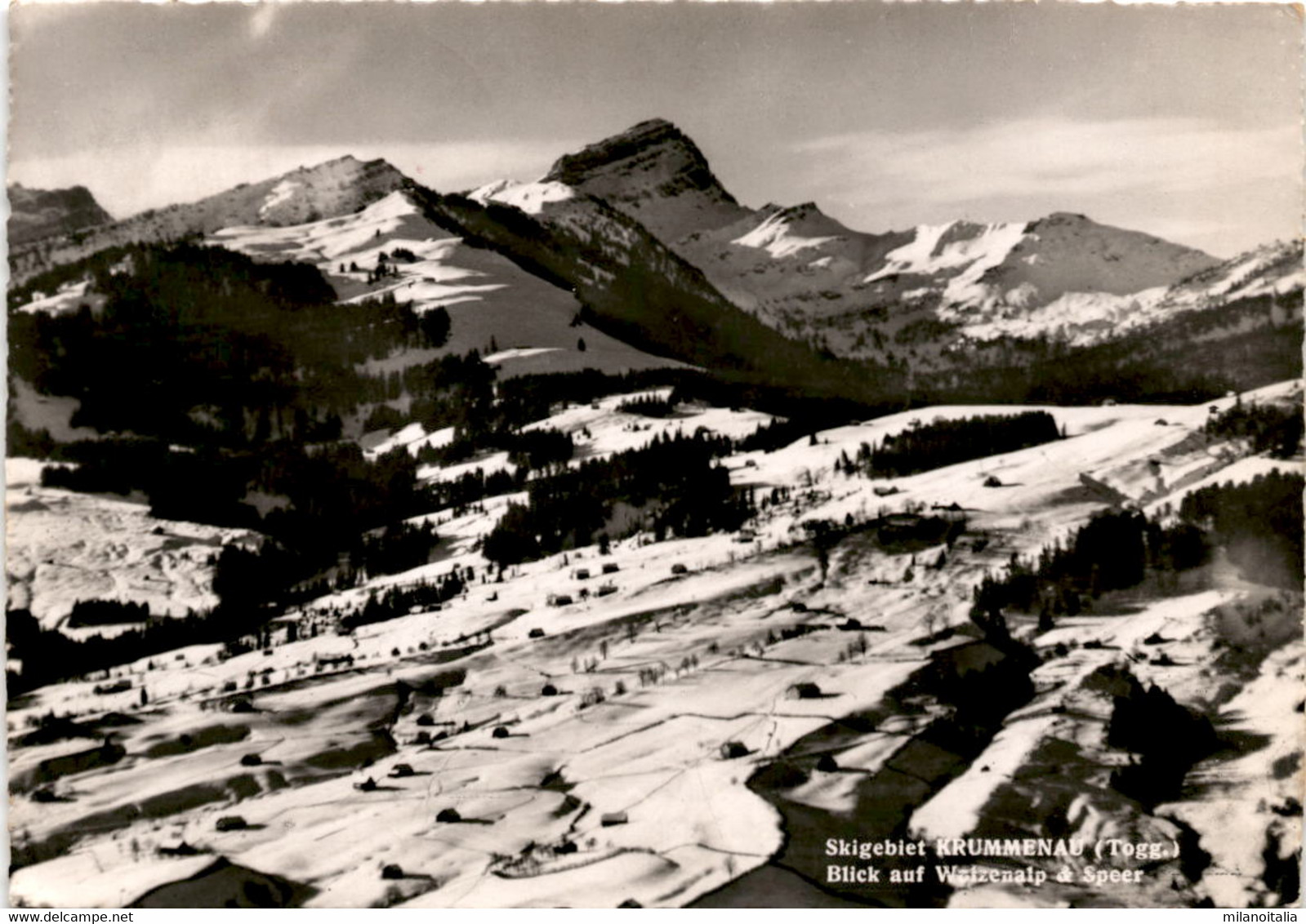 Skigebiet Krummenau (Togg.) - Blick Auf Wolzenalp & Speer * 21. 1. 1952 - Krummenau