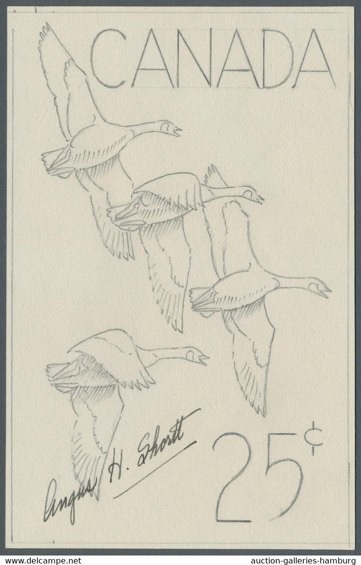 Canada: 1963, Canadian Goose, Artist`s Pencil Sketch (90x145mm) For An Intended - Nuovi