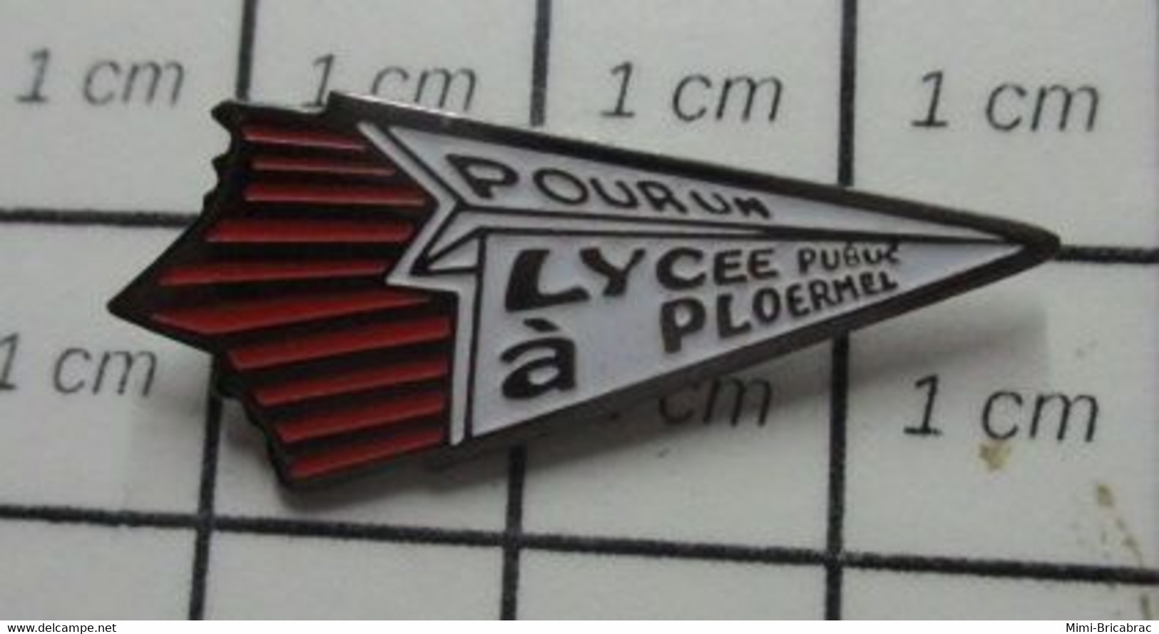 2422 Pin's Pins / Beau Et Rare / THEME : VILLES / AVION EN PAPIER POUR UN LYCEE PUBLIC A PLOERMEL - Administrations