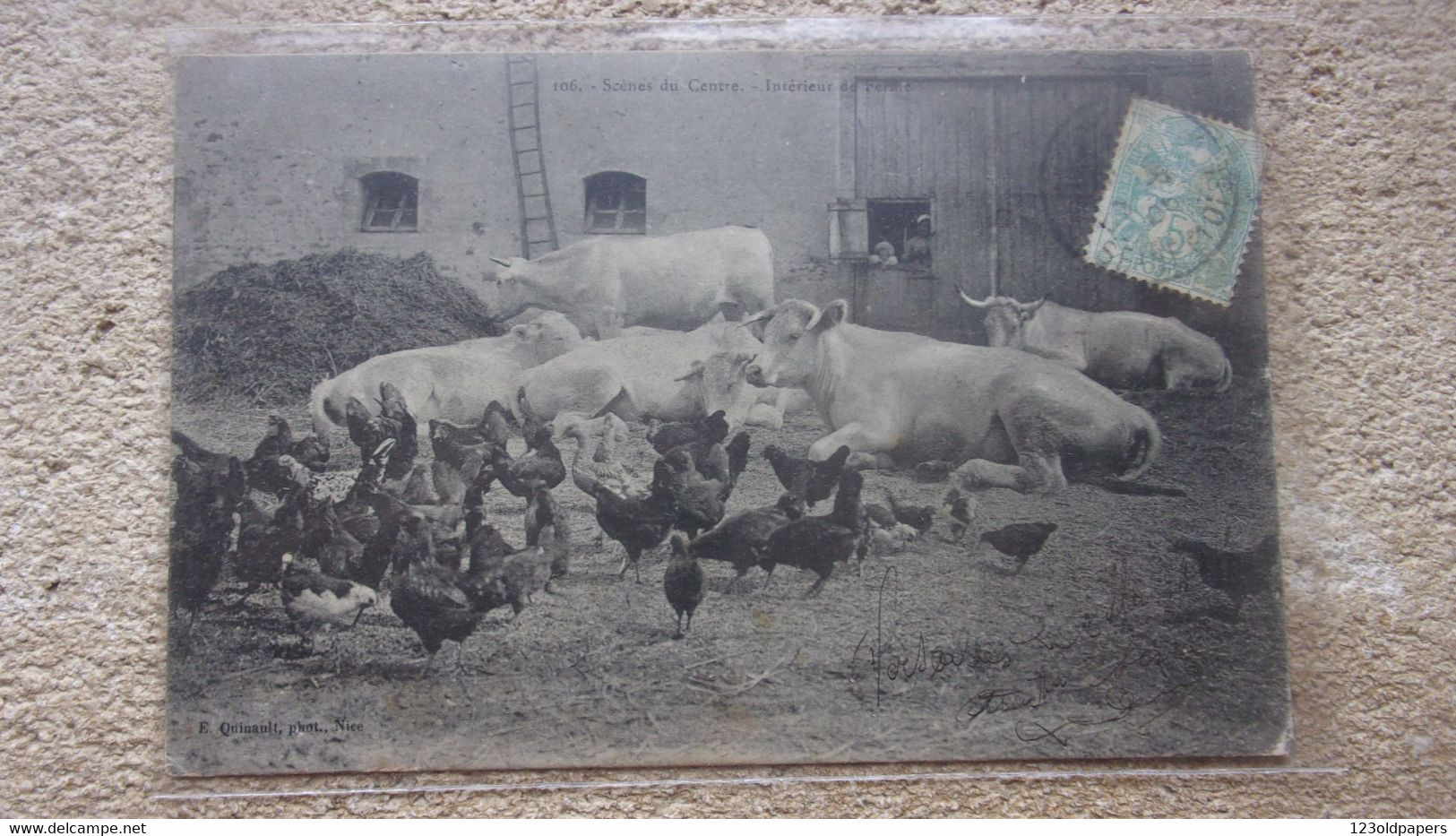 ♥️ AGRICULTURE  SCENES DU CENTRE INTERIEUR DE FERME - Limousin