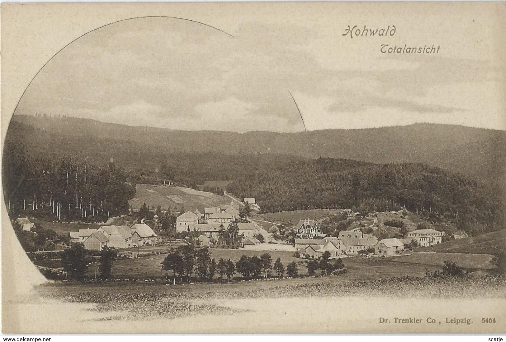 Hohwald   -   Totalansicht   -   1900 - Hohwald (Sachsen)