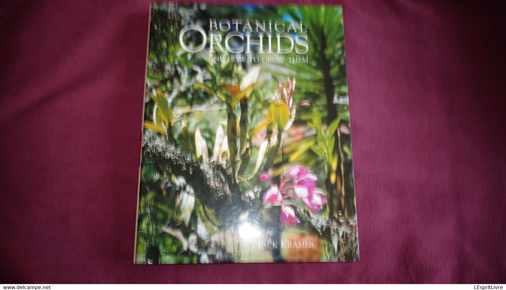 BOTANICAL ORCHIDS And How To Grow Them Botanique Plantes Fleur Orchidées Flowers Index Classification Societies Orchidea - Other & Unclassified