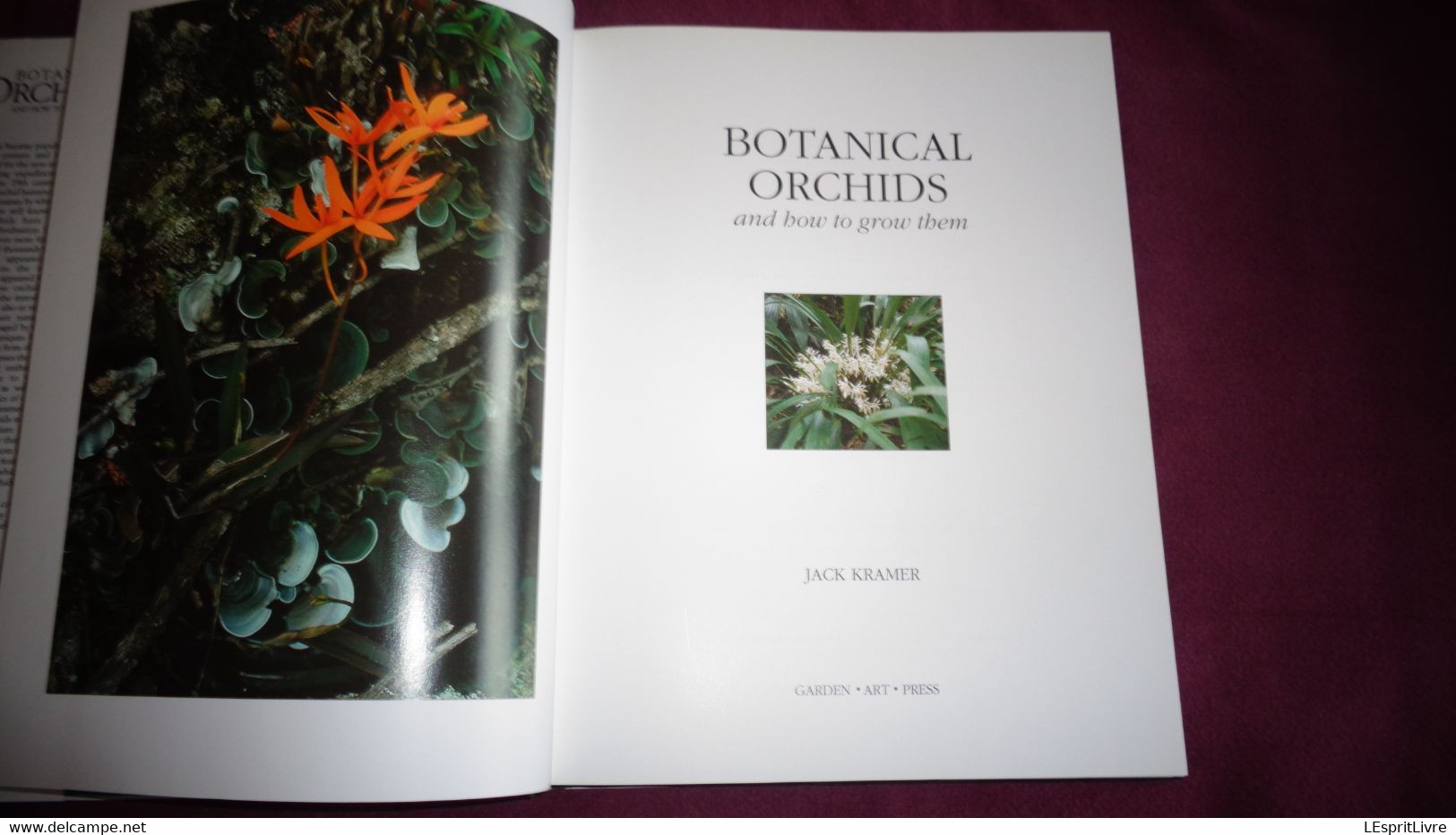 BOTANICAL ORCHIDS And How To Grow Them Botanique Plantes Fleur Orchidées Flowers Index Classification Societies Orchidea - Sonstige & Ohne Zuordnung