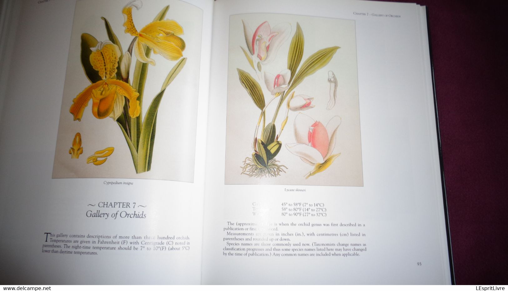 BOTANICAL ORCHIDS And How To Grow Them Botanique Plantes Fleur Orchidées Flowers Index Classification Societies Orchidea