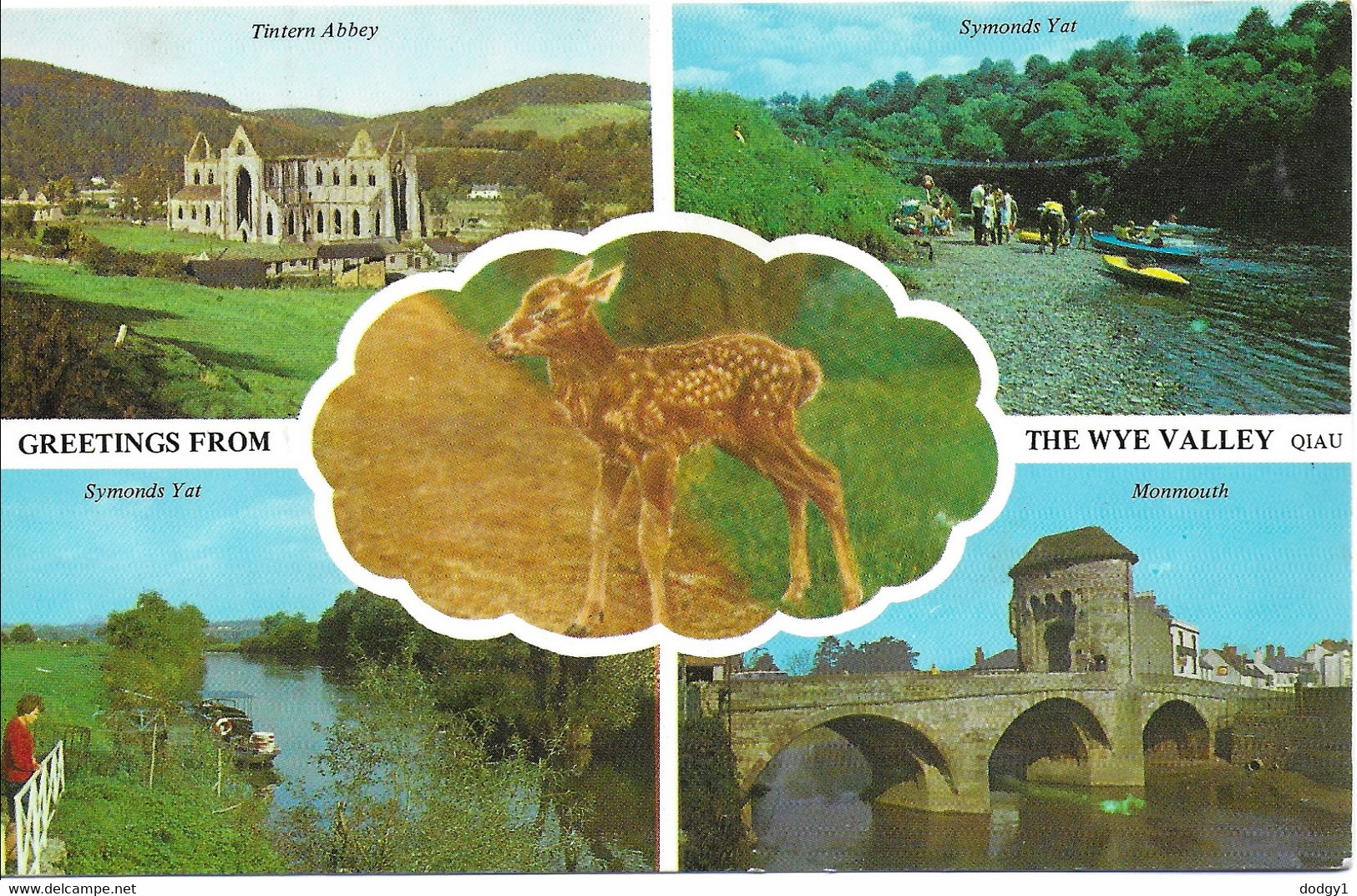 SCENES FROM THE WYE VALLEY, MONMOUTHSHIRE, WALES. Circa 1972  USED POSTCARD   Kg1 - Monmouthshire