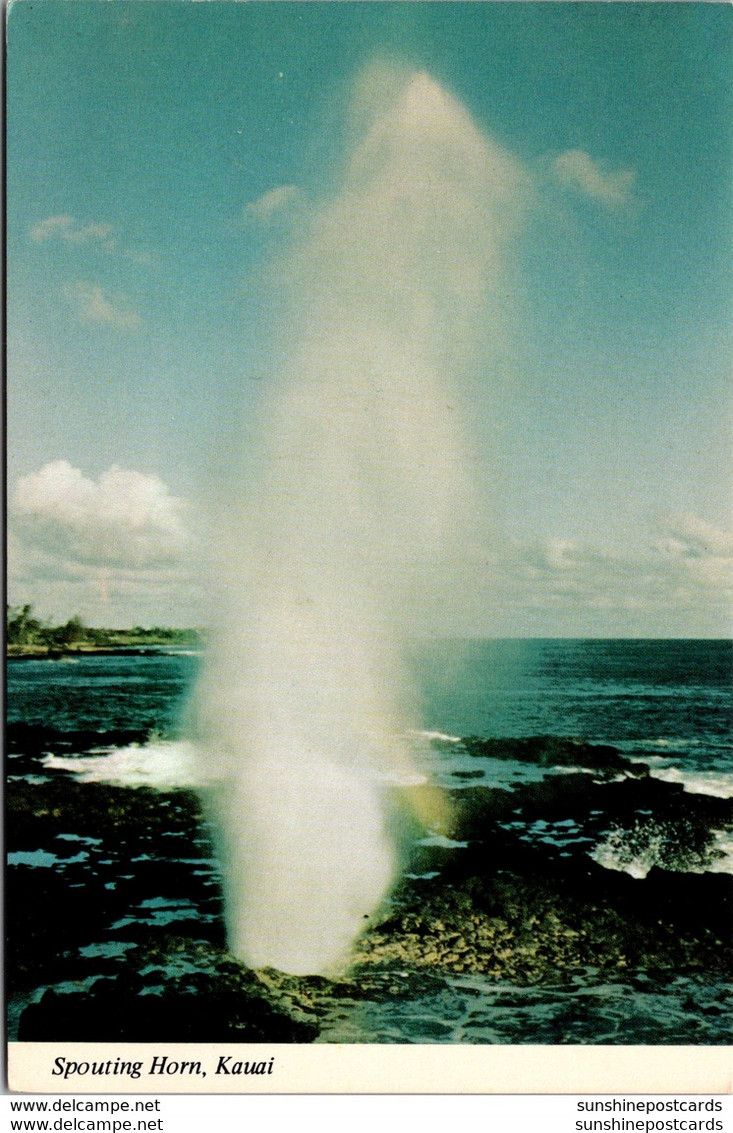 Hawaii Kauai The Spouting Horn Water Geyser - Kauai
