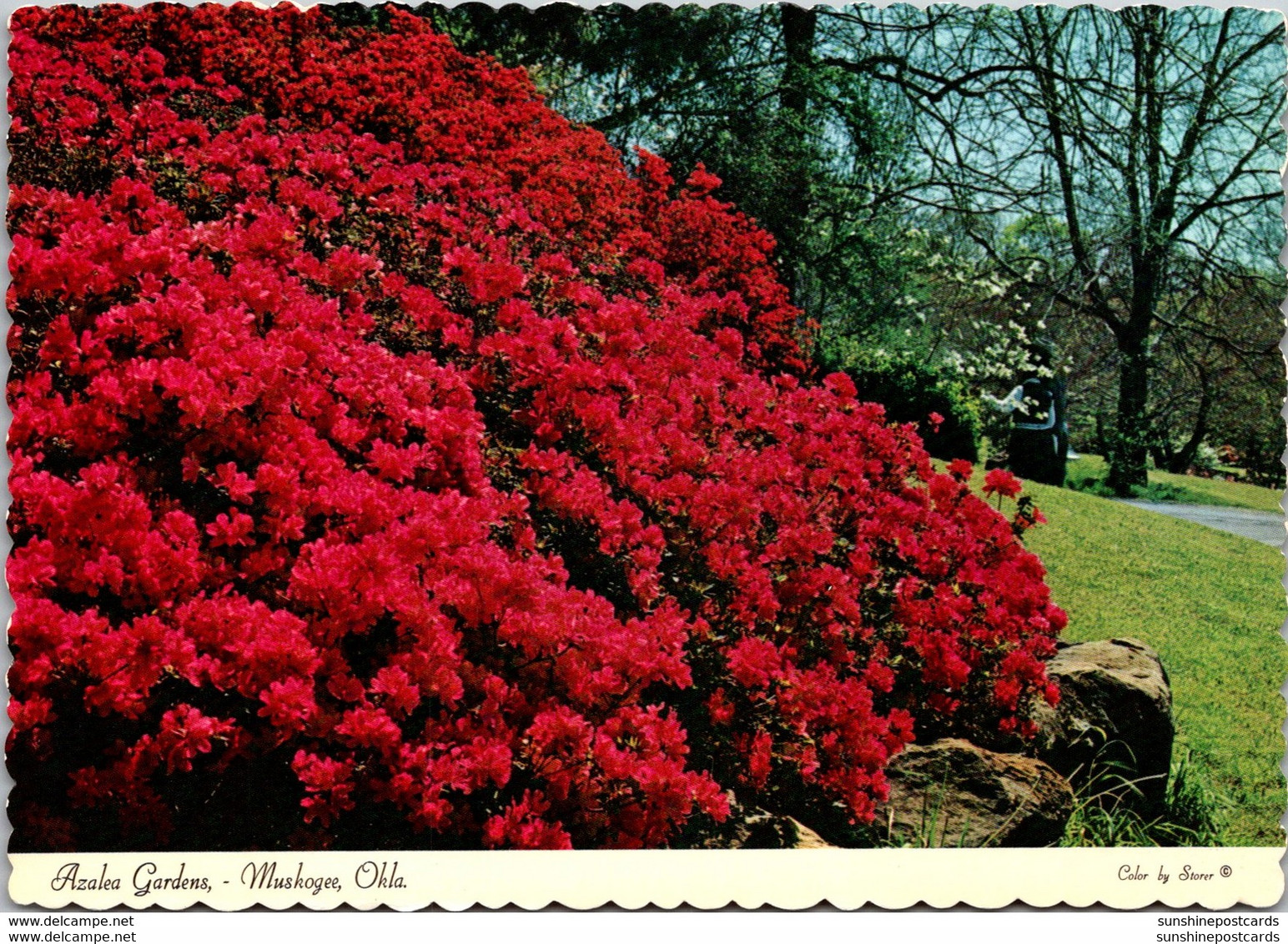 Oklahoma Muskogee Azalea Gardens In Honor Heights Park - Muskogee