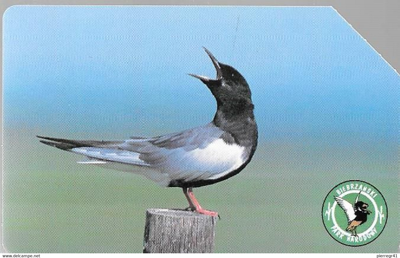 CARTE-MAGNETIQUE-POLOGNE-GUIFETTE-Utilisé-TBE- - Sperlingsvögel & Singvögel