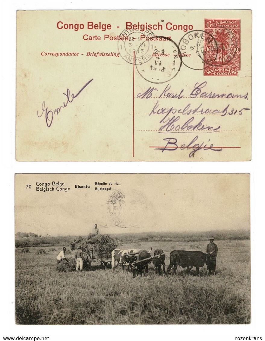 Belgisch Congo Belge Postwaardestuk Entier Postal LEOPOLDVILLE 10 Ct Centimes 1913 Kisantu Recolte Du Riz Rijstoogst - Interi Postali