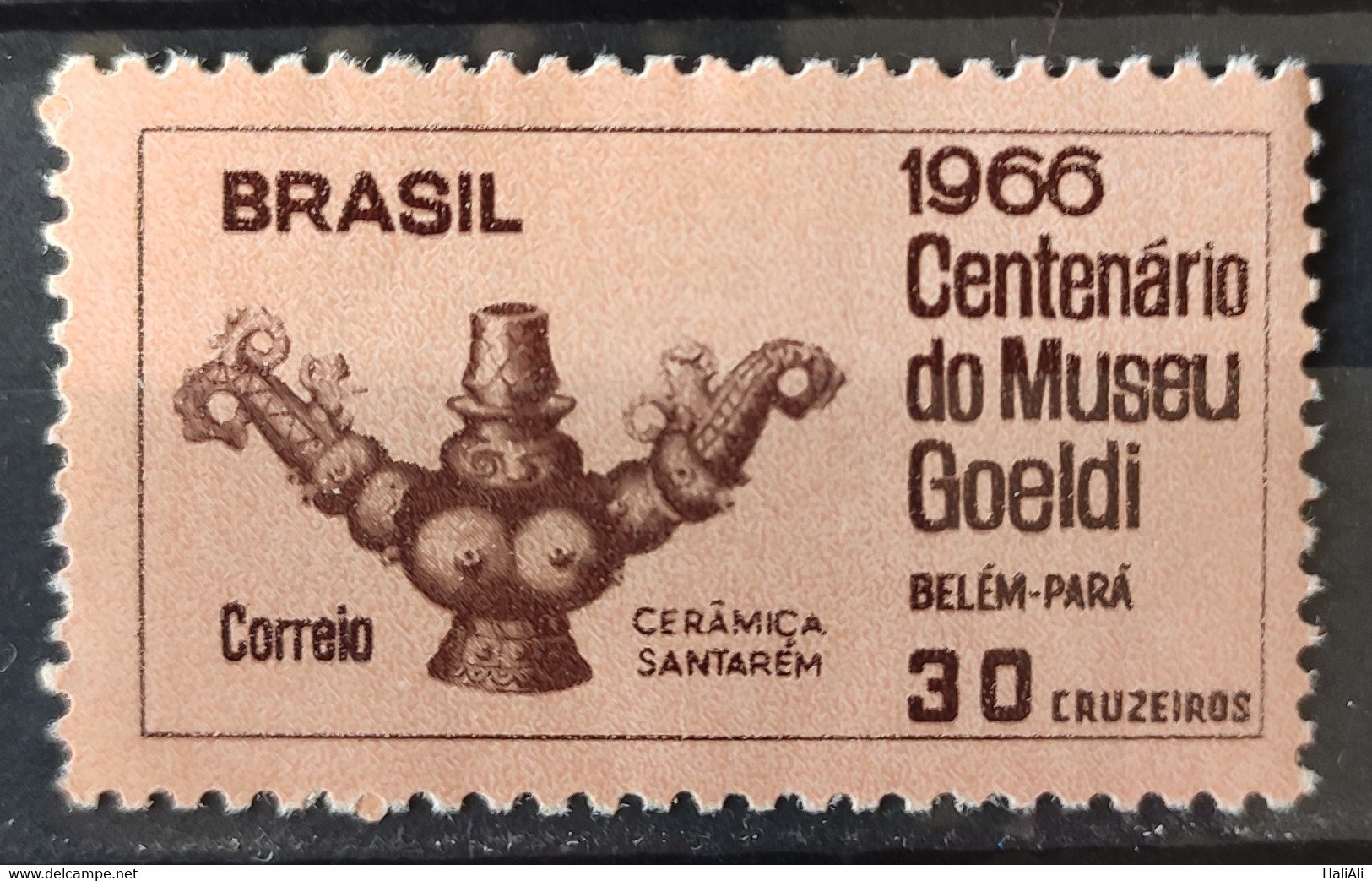 C 555 Brazil Stamp Centenary Emilio Goeldi Museum Belem Art 1966 1 - Autres & Non Classés