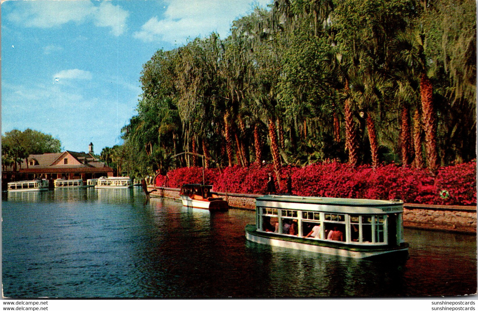 Florida Silver Springs Glass Bottom Boats Approaching Main Spring - Silver Springs