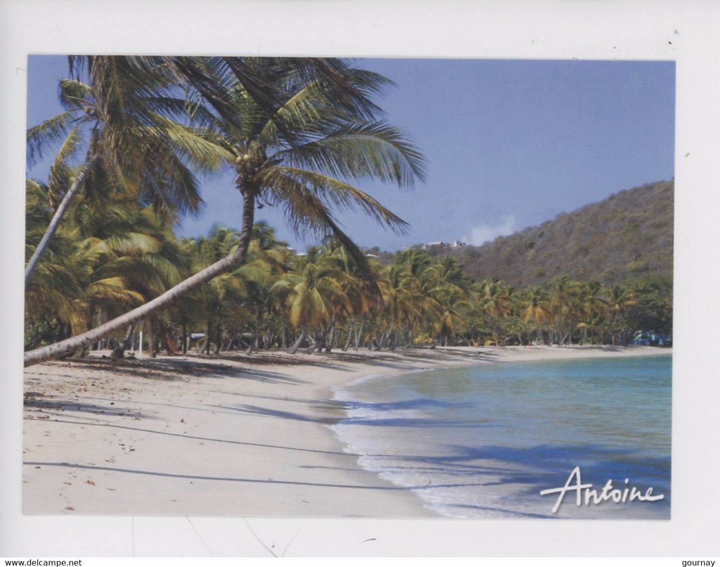 Plage De Salt Whistle Bay, Mayereau, Archipel Des Grenadines (Saint Vincent) Iles était Une Fois 1993 - ANTOINE - San Vicente Y Las Granadinas