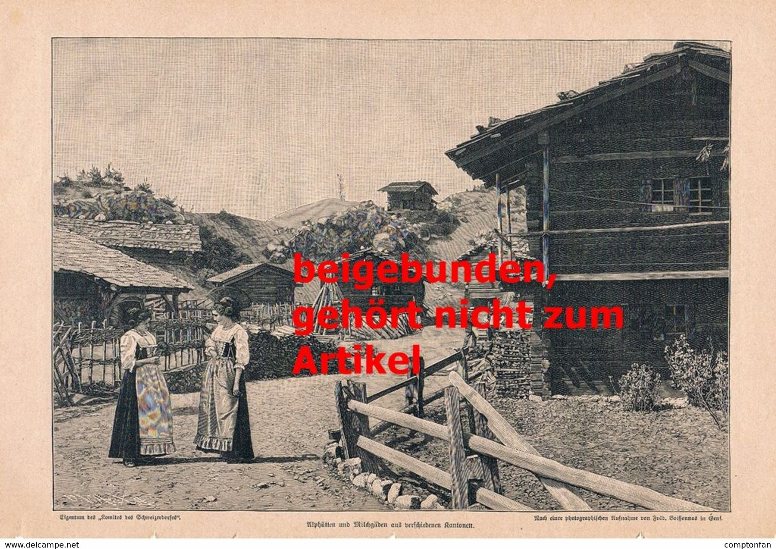 A102 1194 Paetow Salzburg Hochland Kaprun Moserboden Artikel / Bilder 1896 !! - Autres & Non Classés