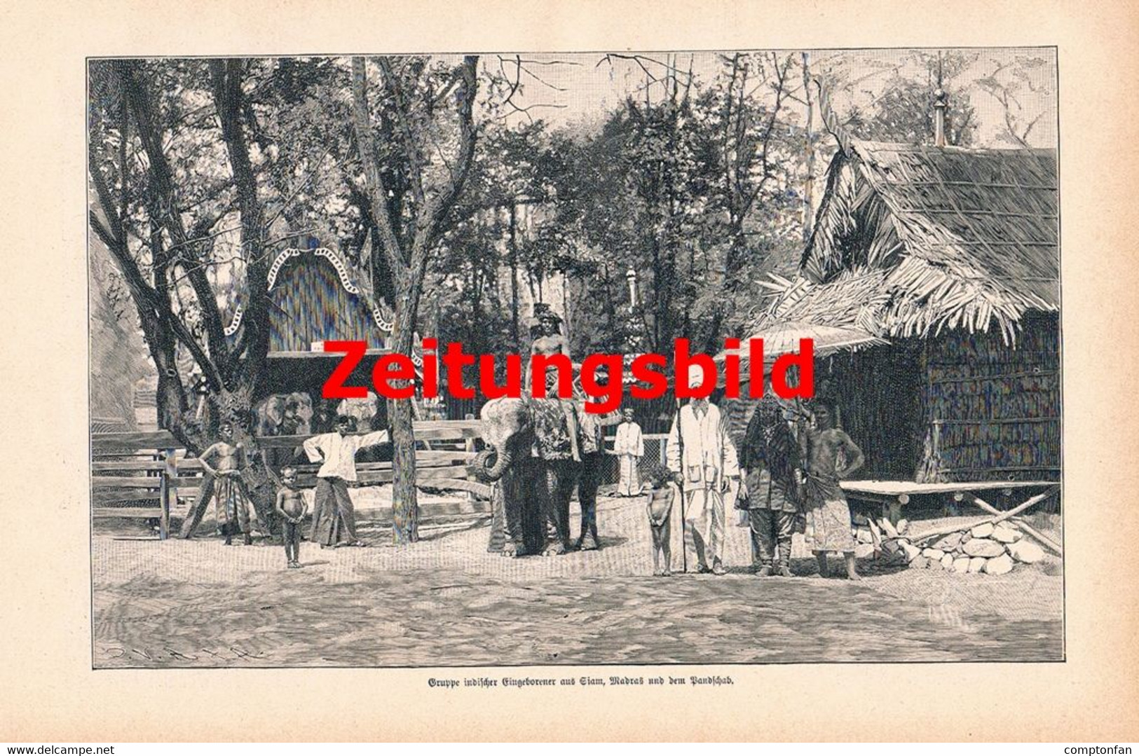 A102 1213 Wien Tiergarten Schönbrunn Ostindisches Dorf Artikel / Bilder 1899 !! - Politique Contemporaine