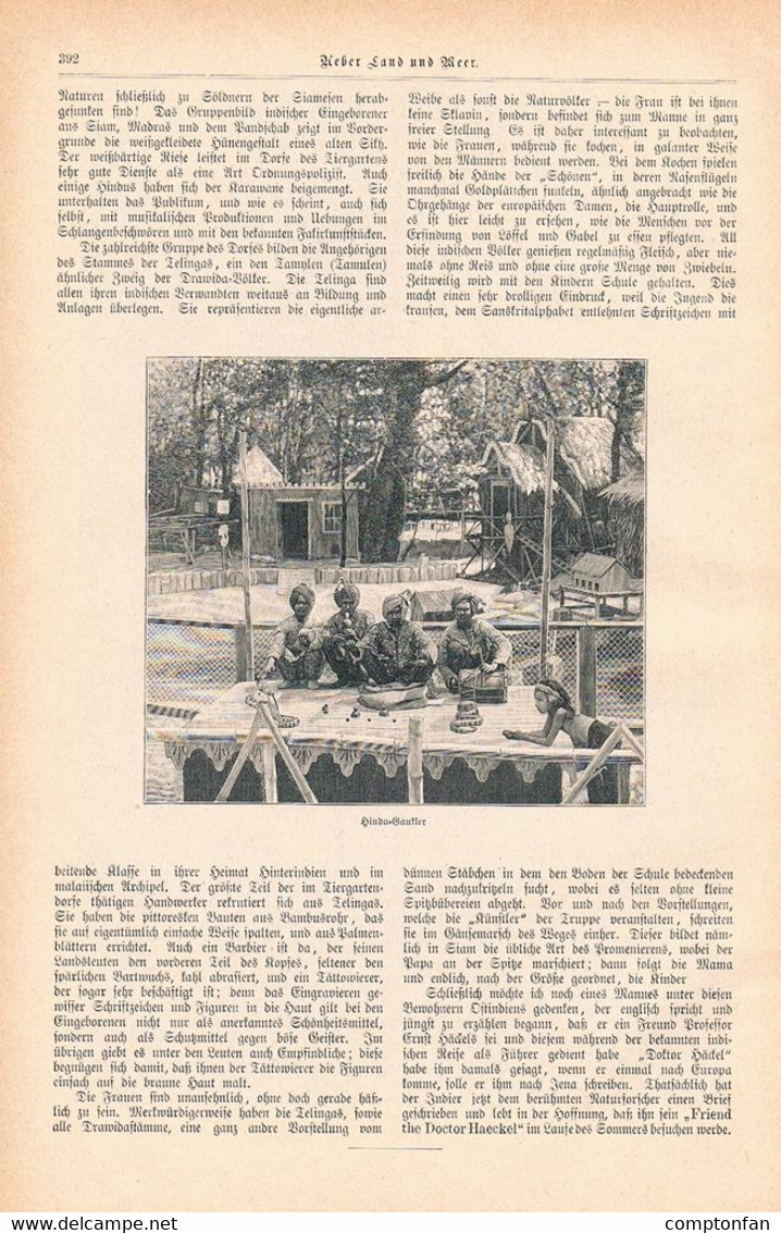 A102 1213 Wien Tiergarten Schönbrunn Ostindisches Dorf Artikel / Bilder 1899 !! - Contemporary Politics