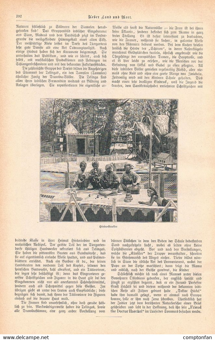 A102 1213 Wien Tiergarten Schönbrunn Ostindisches Dorf Artikel / Bilder 1899 !! - Política Contemporánea