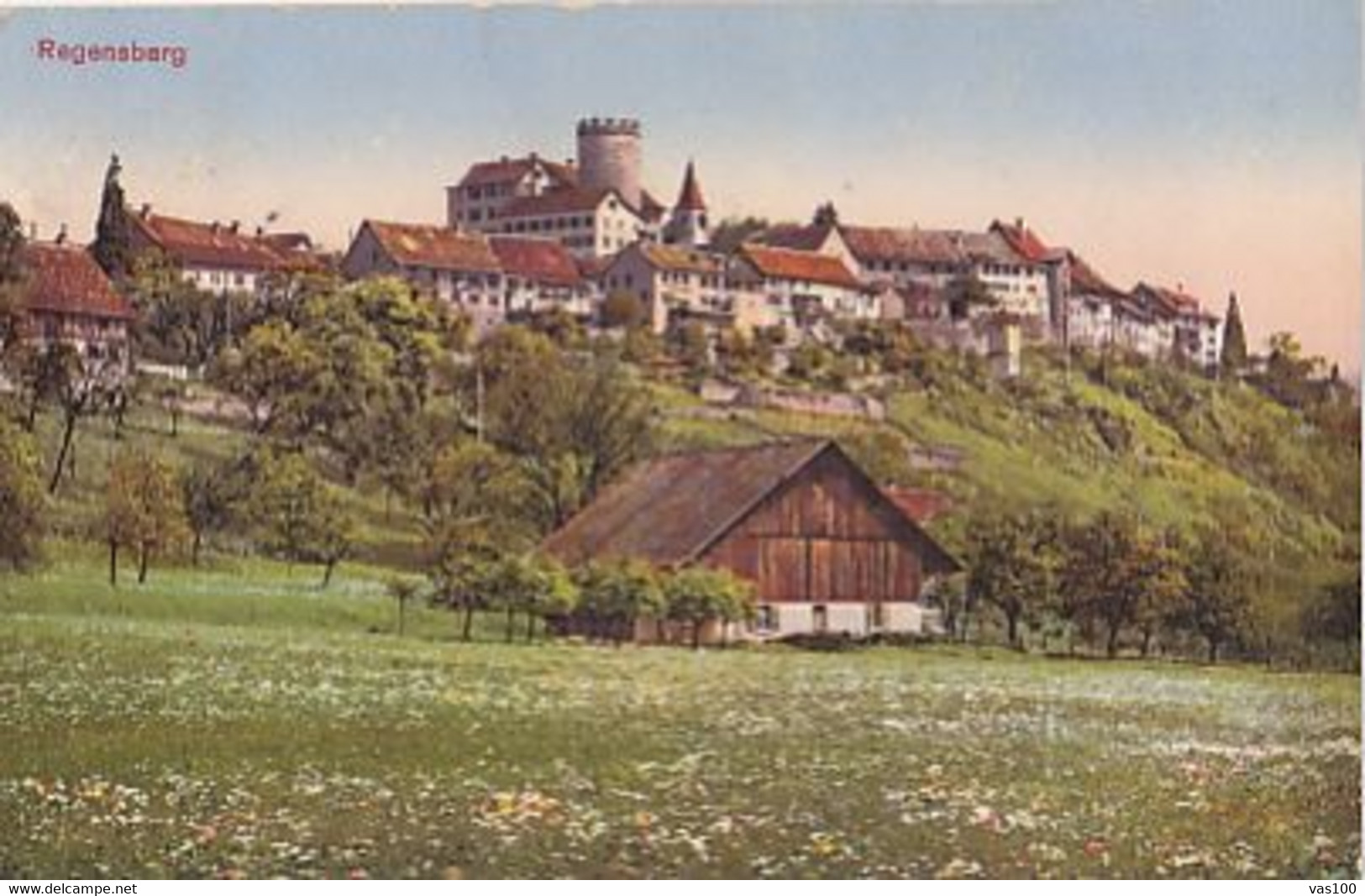 CPA REGENSBERG- THE CASTLE, TOWER, VILLAGE VIEW - Regensberg