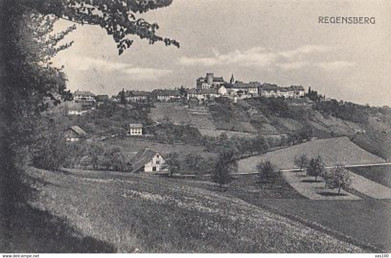 CPA REGENSBERG- THE CASTLE, TOWER, VILLAGE HILL - Regensberg