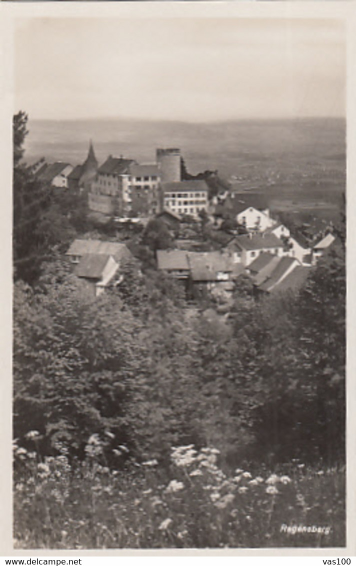 CPA REGENSBERG- THE CASTLE, TOWER, VILLAGE HILL, PANORAMA - Regensberg