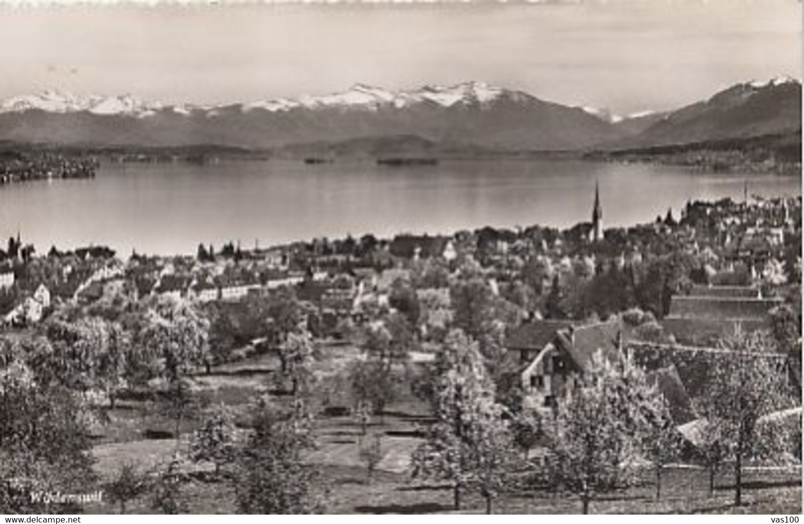 CPA WADENSWIL- TOWN PANORAMA, LAKE - Wädenswil