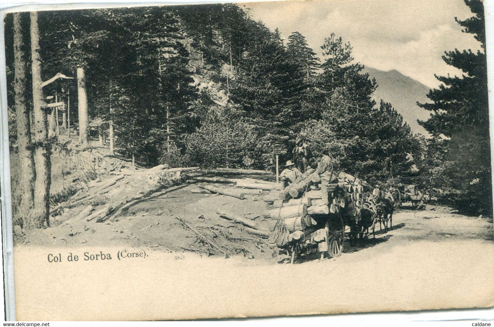 -2B - CORSE-  COL. De. SORBA. -  Transport De Bois.         Collection. J.Moretti,Corte - Altri & Non Classificati