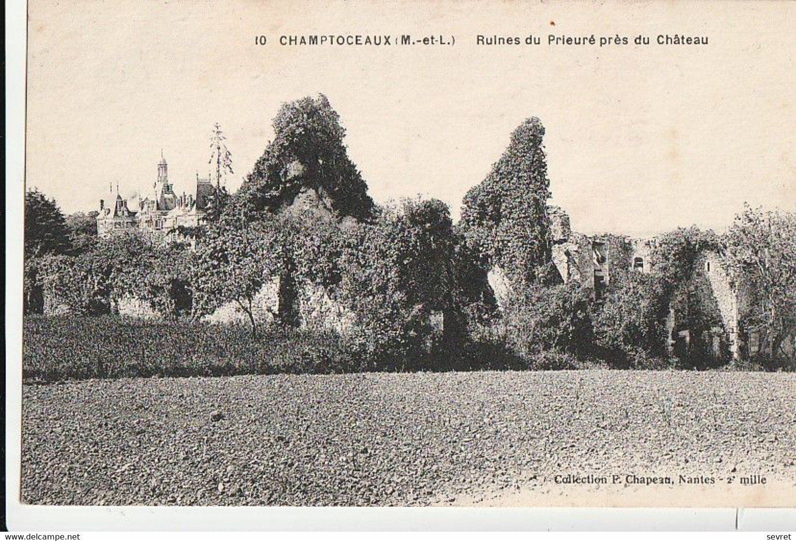 CHAMPTOCEAUX. - Ruines Du Prieuré Près Du Château - Champtoceaux