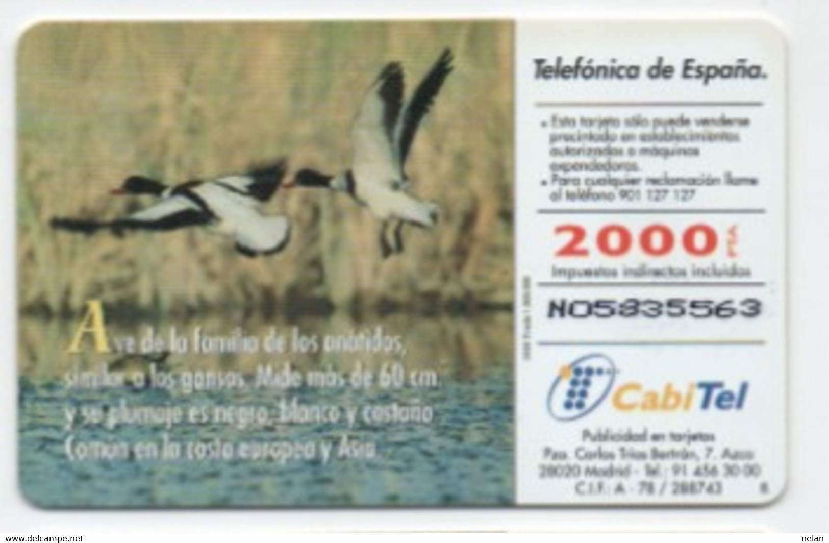 SCHEDA TELEFONICA - PHONE CARD - SPAGNA - FAUNA IBERICA - Other & Unclassified