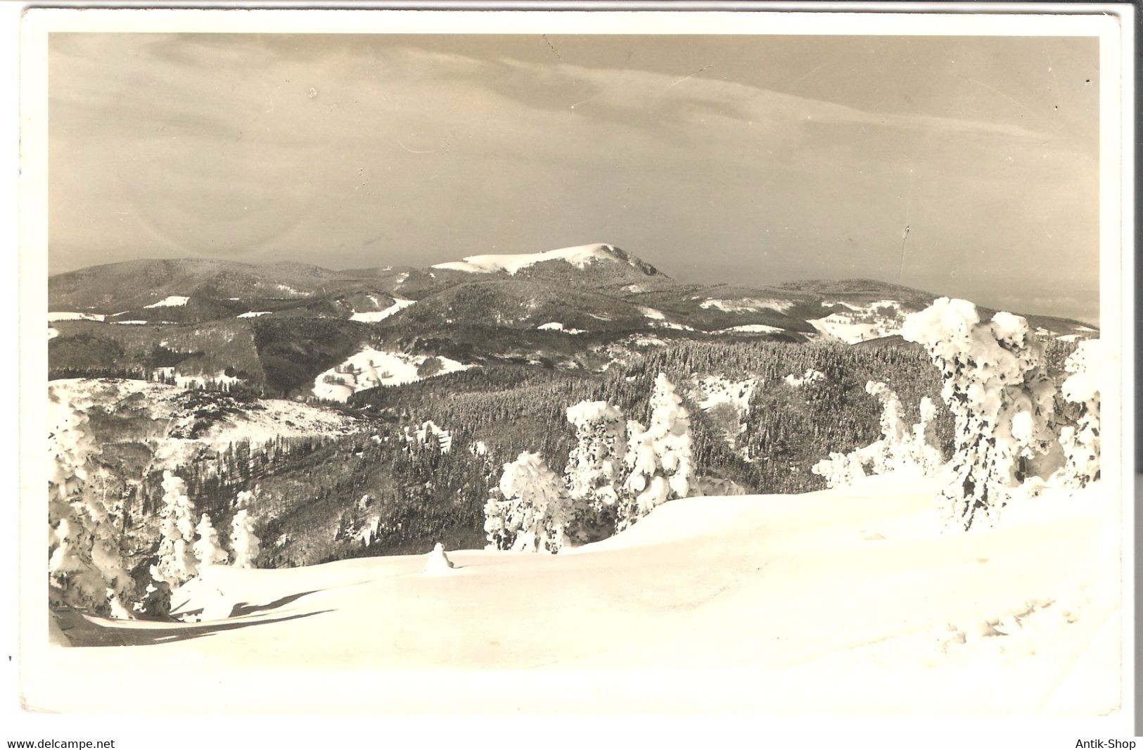 Blick Auf Den Belchen Im Schwarzwald Von 1935 (5930) - Muenstertal