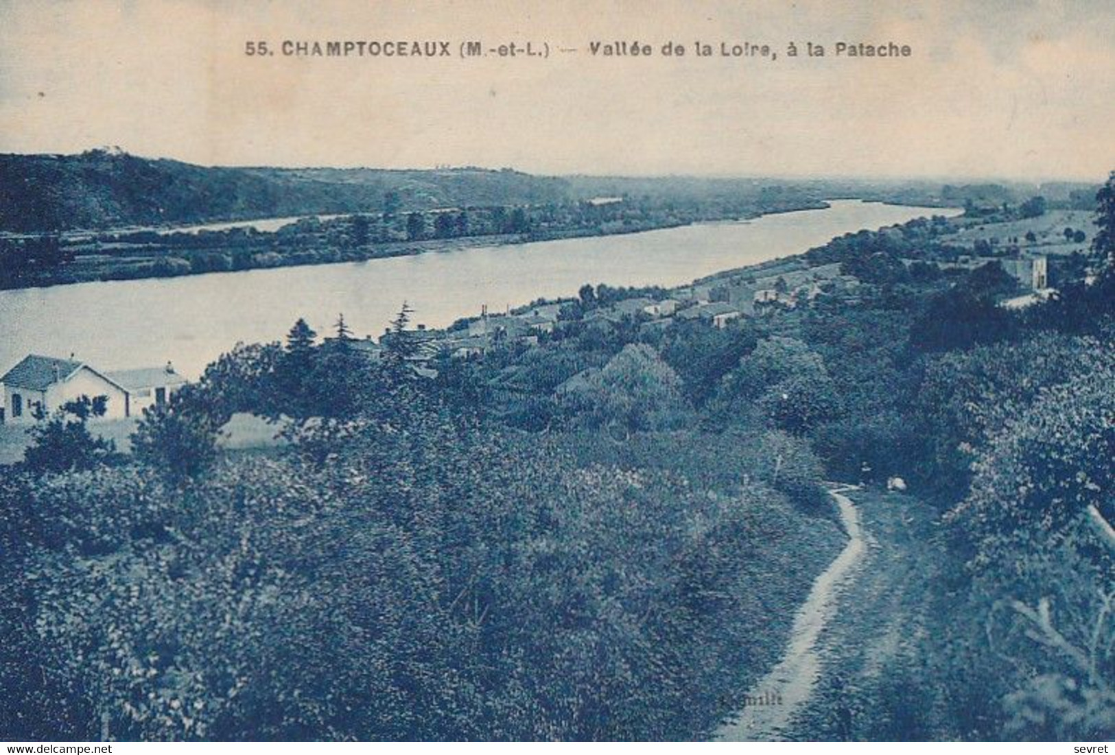 CHAMPTOCEAUX. - Vallée De La Loire, à La Patache - Champtoceaux