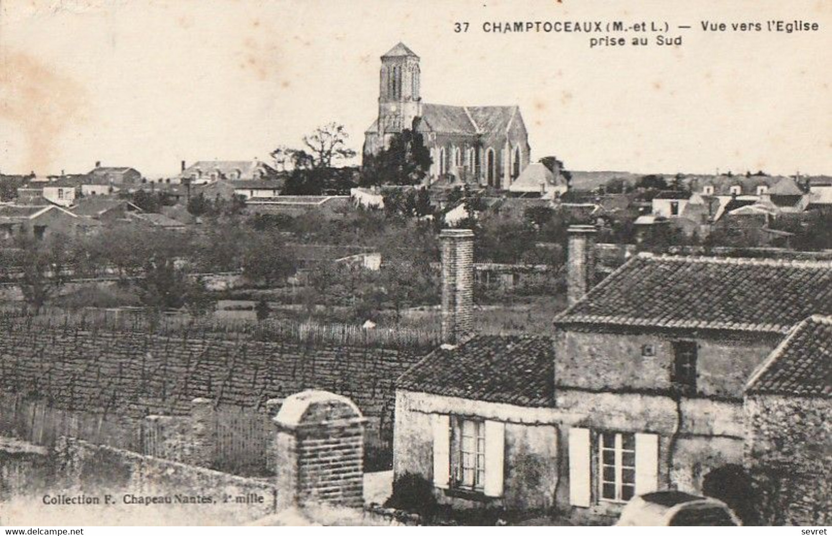 CHAMPTOCEAUX. - Vue Vers L'Eglise Prise Au Sud - Champtoceaux