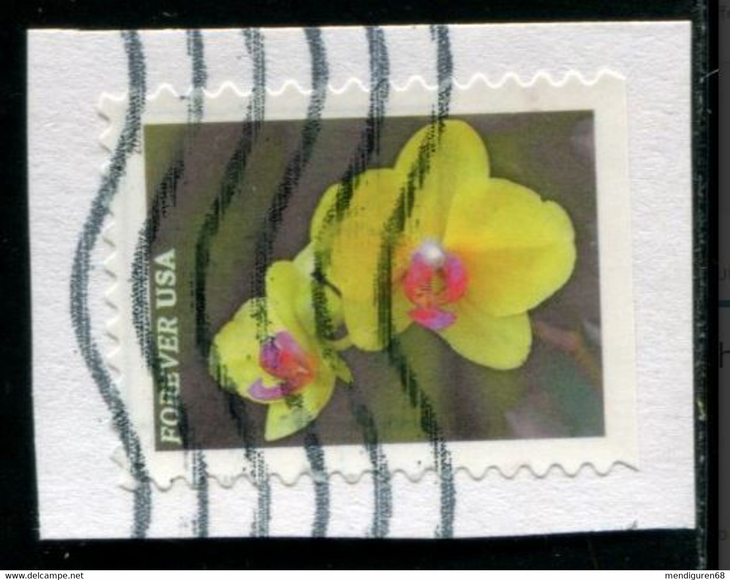 VEREINIGTE STAATEN ETATS UNIS USA 2021 GARDEN FLOWERS: YELLOW MOTH ORCHID F USED ON PAPER SC 5563 MI 5796 YT 5405 - Used Stamps