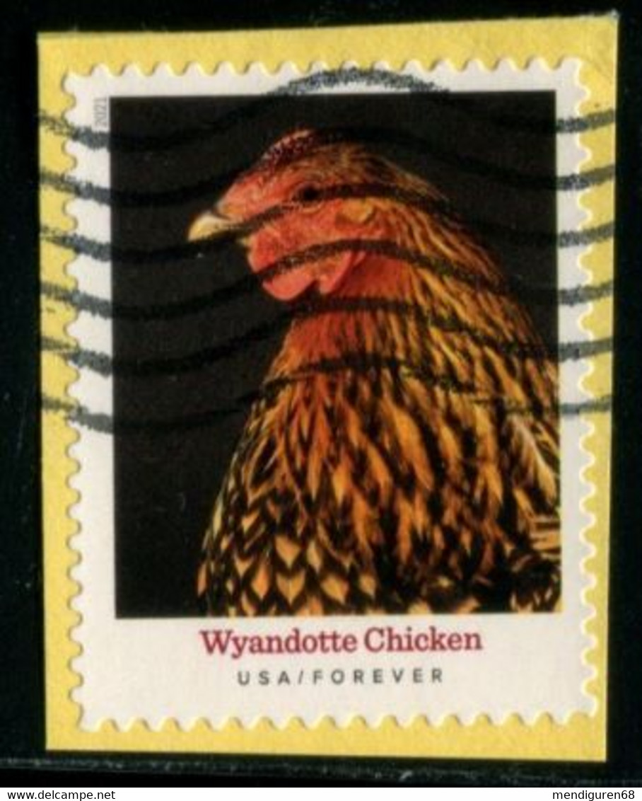 VEREINIGTE STAATEN ETATS UNIS USA 2021 HERITAGE BREEDS: WYANDOTTE CHICKEN F USED ON PAPER SC 5584 MI 5817 YT 5426 - Usados