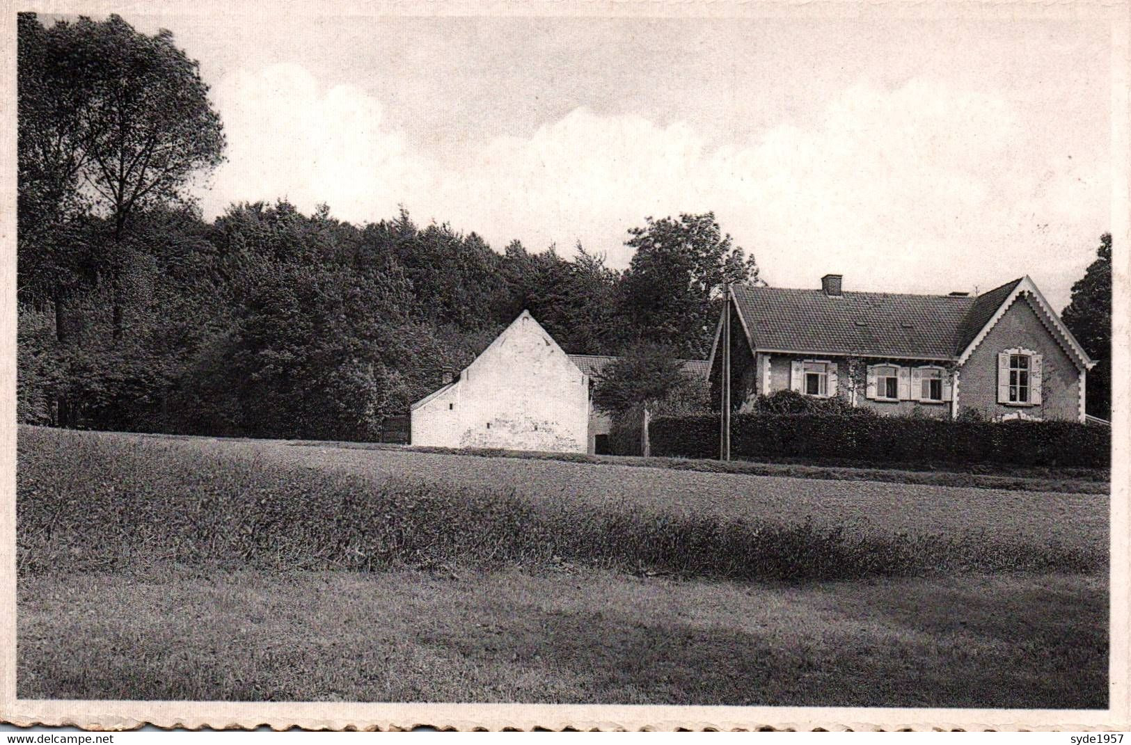 Louise-Marie  Muziekbergbosch - Maarkedal