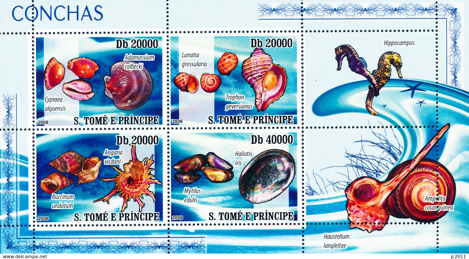 S. Tomé E Príncipe - 2008 - Shells - S + SS - MNH - Sao Tome And Principe