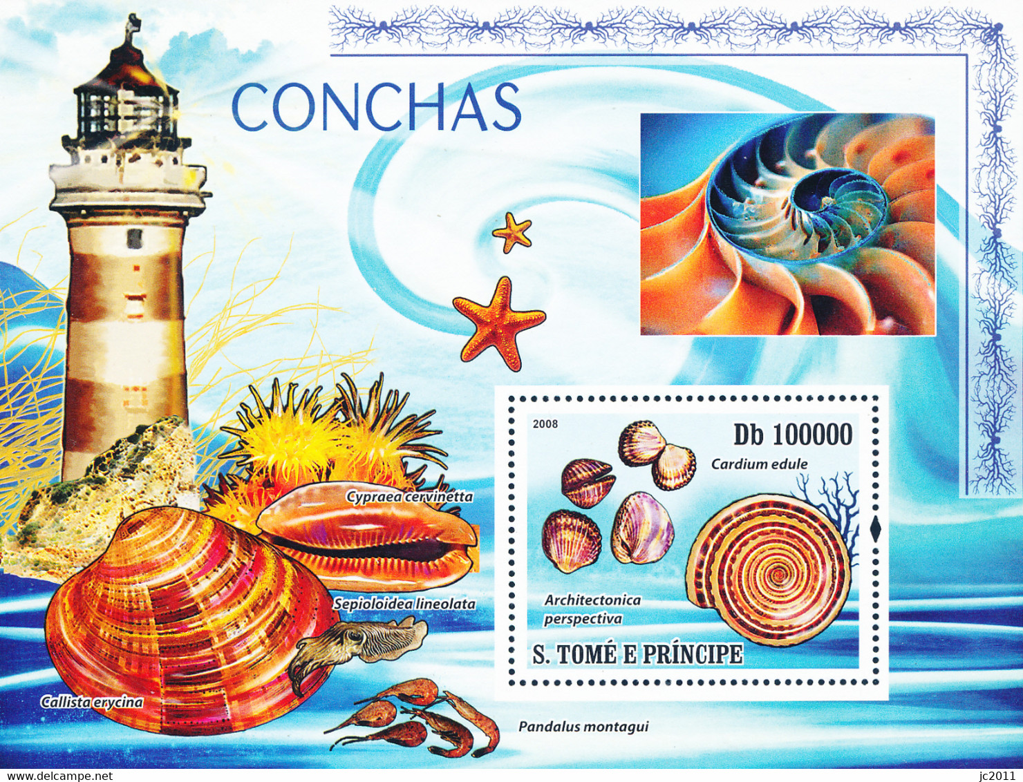 S. Tomé E Príncipe - 2008 - Shells - S + SS - MNH - Sao Tome And Principe