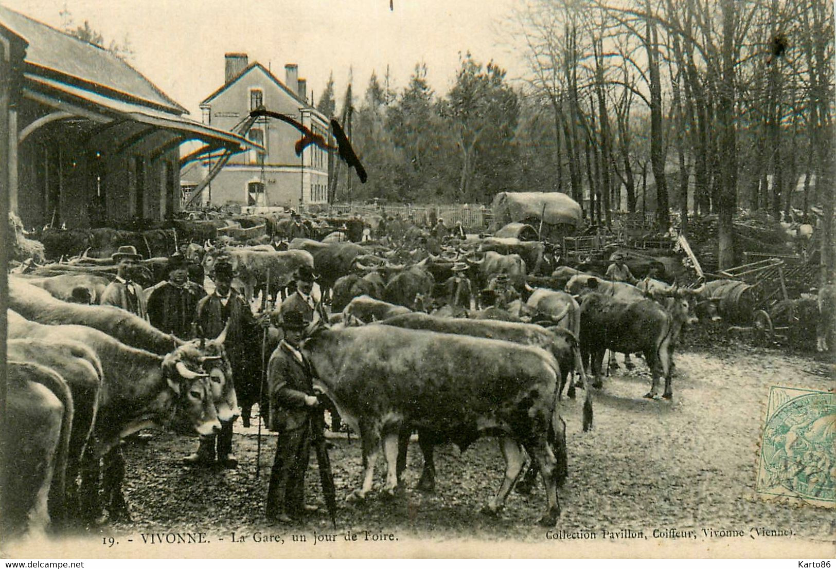 Vivonne * La Gare , Un Jour De Foire * Marché Aux Bestiaux * Ligne Chemin De Fer De La Vienne - Vivonne