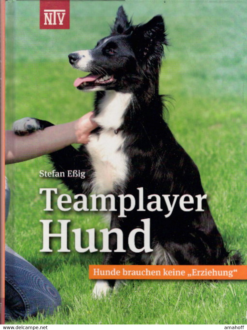 Teamplayer Hund: Hunde Brauchen Keine Erziehung (NTV Kleinsäuger) - Natuur