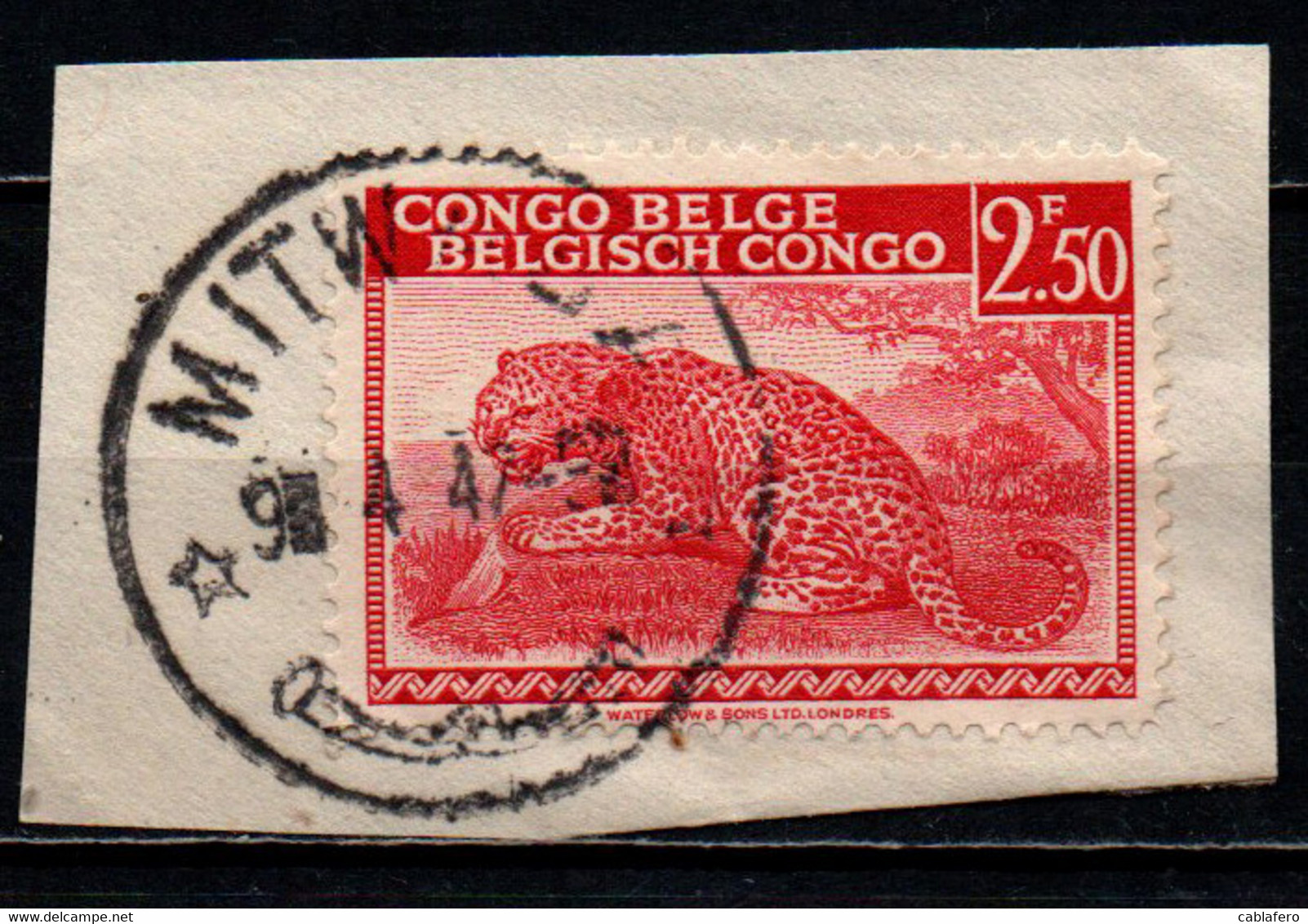 CONGO BELGA - ANNULLO: MITWABA - Otros & Sin Clasificación