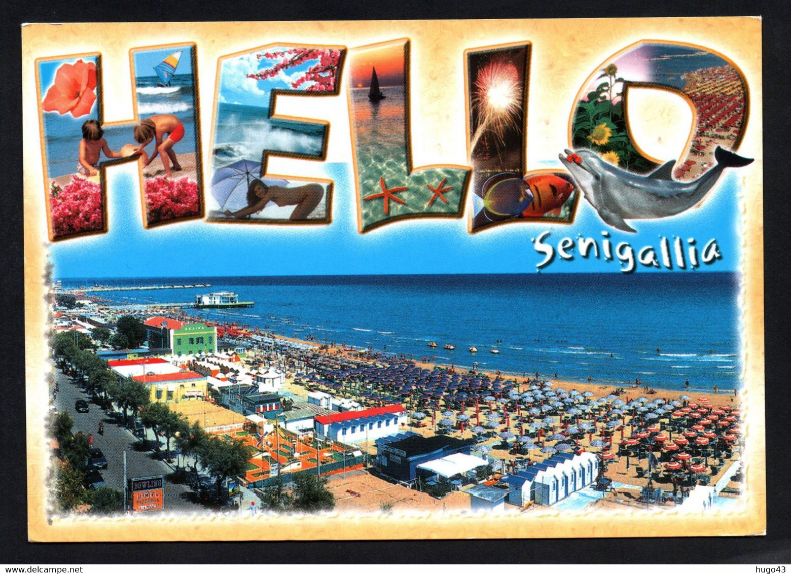 (RECTO / VERSO) SENIGALLIA - HELLO FROM ... - BEAU TIMBRE ET CACHET - CPM GF - Senigallia