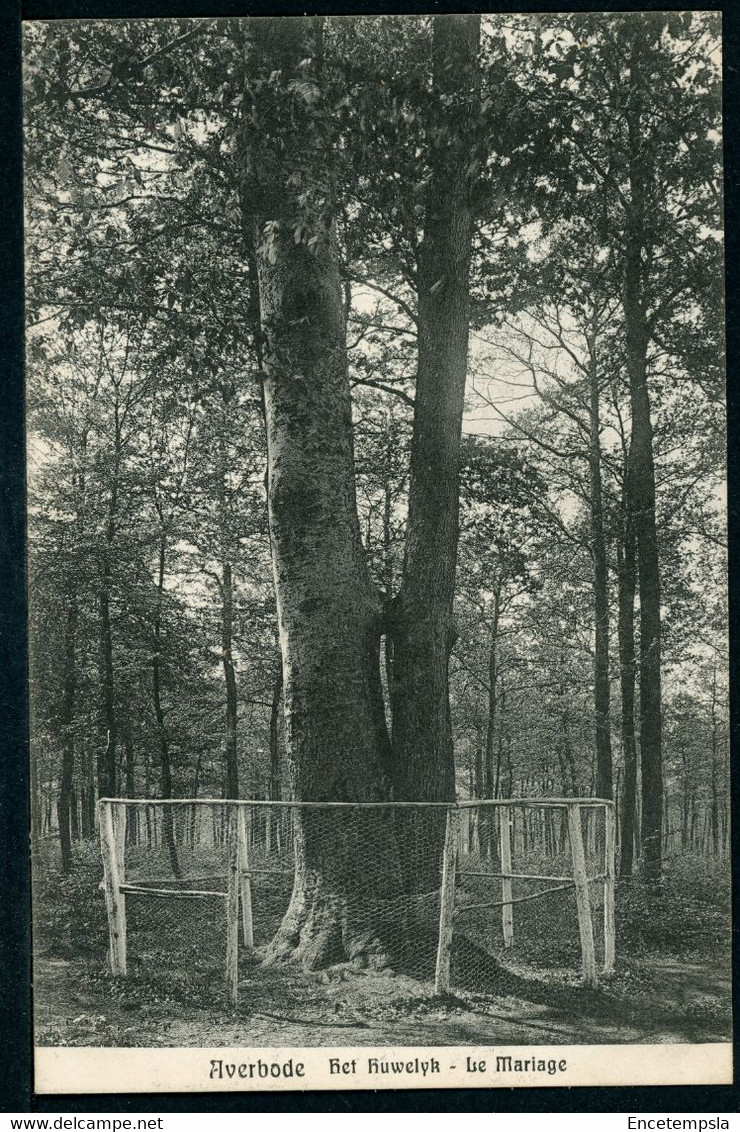 CPA - Carte Postale - Belgique - Averbode - Le Mariage - 1909 (CP21090) - Scherpenheuvel-Zichem