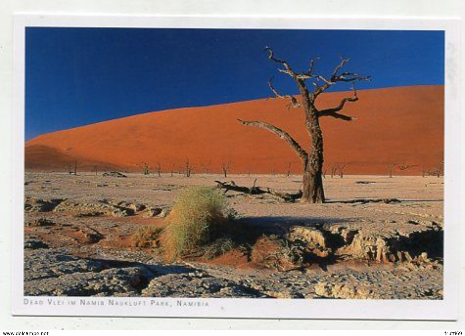 AK 072055 NAMIBIA - In Der Namibwüste - Namibia