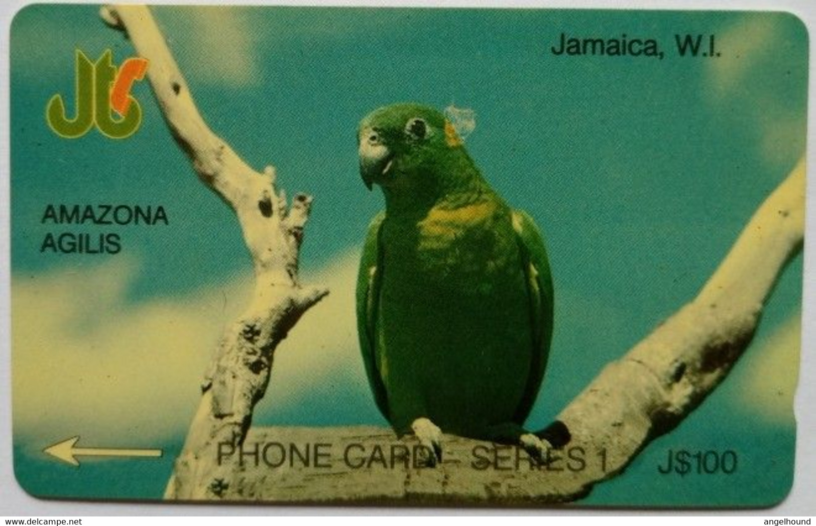 Jamaica Cable And Wireless J$100  IJAME  " Amazona Agilis " - Giamaica