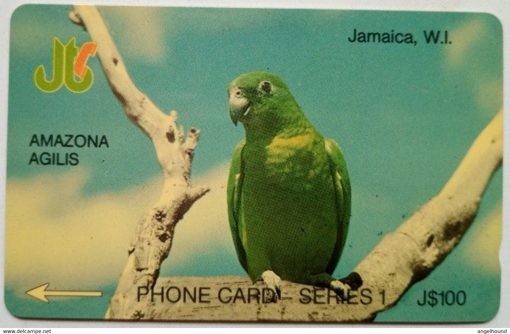 Jamaica Cable And Wireless  J$100   4JAMA  " Amazona Agilis " - Jamaica