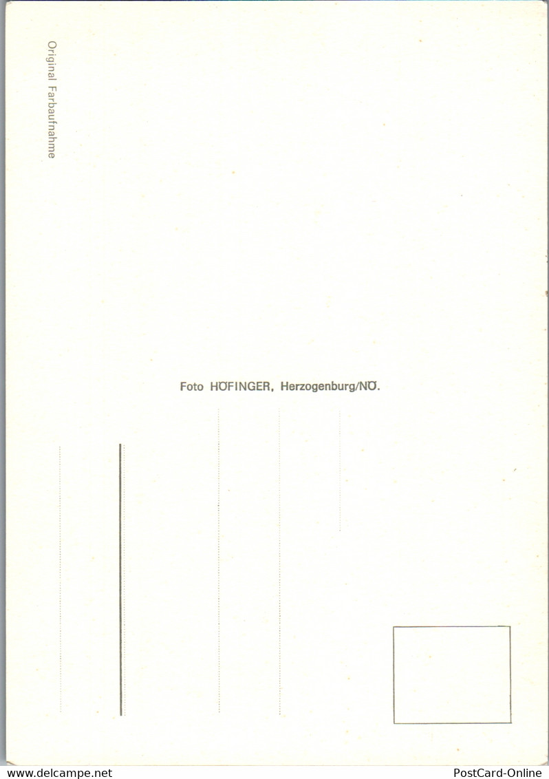 36489 - Niederösterreich - St. Andrä An Der Traisen , Mehrbildkarte - Nicht Gelaufen - Tulln