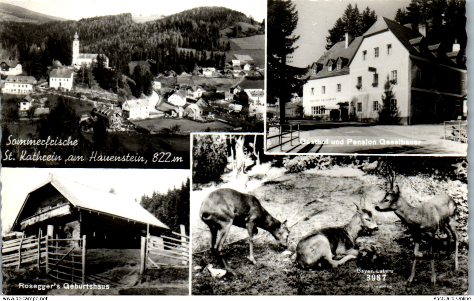 36613 - Steiermark - St. Kathrein Am Hauenstein , Rosegger's Waldheimat , Gasthof Gesselbauer - Gelaufen 1964 - Krieglach