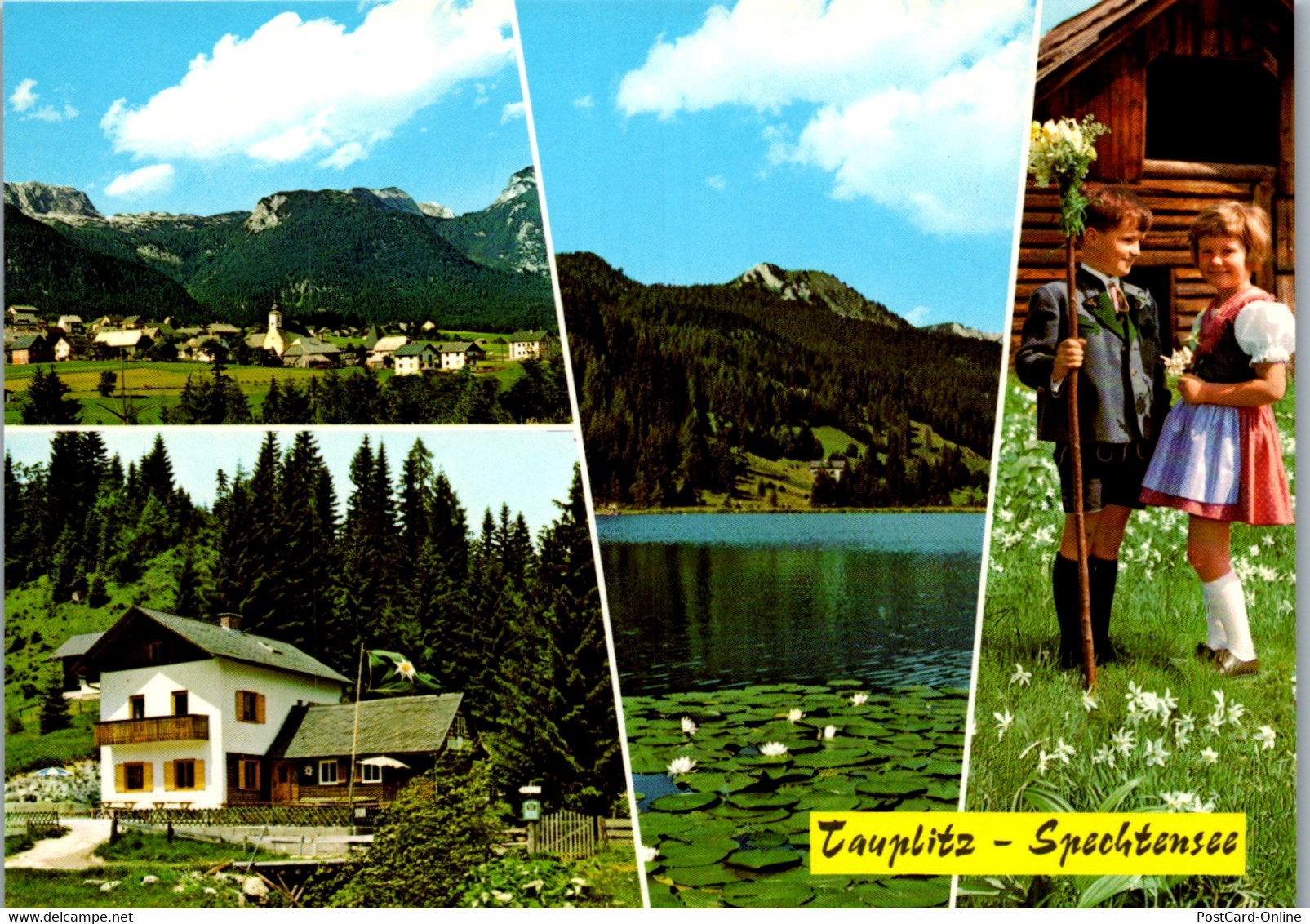 36644 - Steiermark - Tauplitz , Spechtensee Hütte , Mehrbildkarte - Nicht Gelaufen - Tauplitz